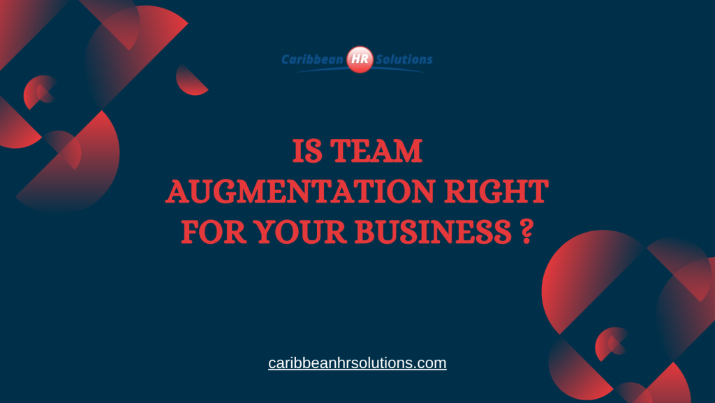 team augmentation for businesses